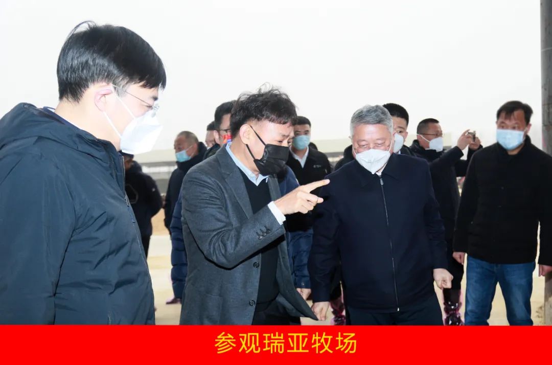 新年開新局 合作促發(fā)展丨佳木斯市委常委、副市長閆志剛一行蒞臨花花牛乳業(yè)集團(tuán)及佳田企業(yè)考察座談