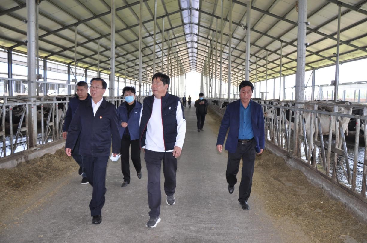 商丘市委常委、宣傳部部長王全周一行蒞臨睢縣瑞亞牧業(yè)有限公司調研