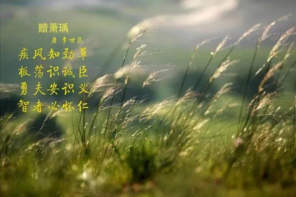 花花牛 | 疾風(fēng)來(lái)臨，你是不是勁草？