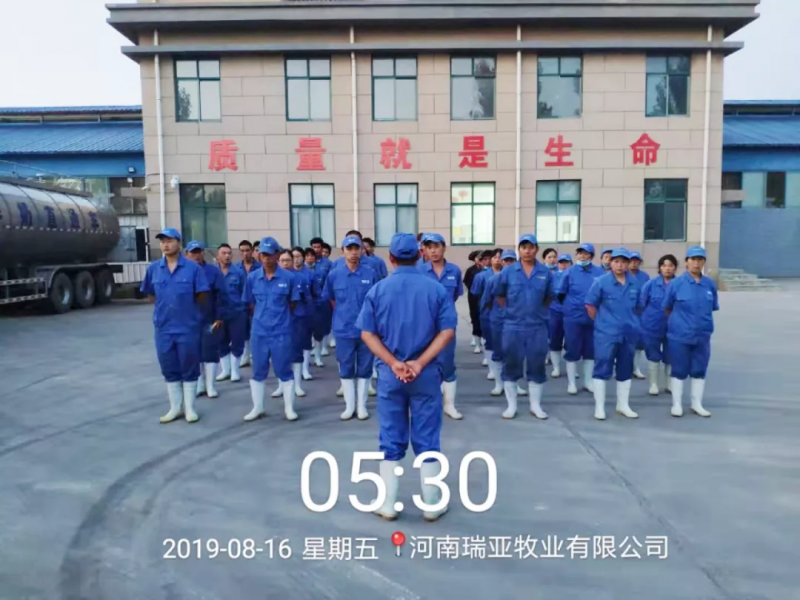 小晨會(huì)·大能量——砥礪奮進(jìn)的花花牛，加油！